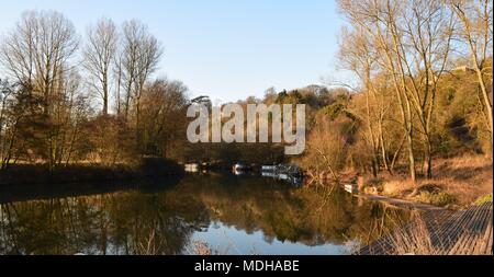 Il fiume Avon su una mattina inverni Foto Stock