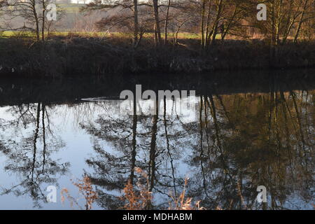 Il fiume Avon su una mattina inverni Foto Stock