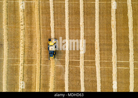 Antenna vista artistica direttamente al di sopra di una mietitrebbia linee di raccolta del grano; Beiseker, Alberta, Canada Foto Stock