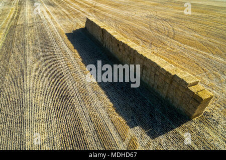 Vista aerea della piazza impilate balle di fieno in un campo di taglio con lunghe ombre; Alberta, Canada Foto Stock