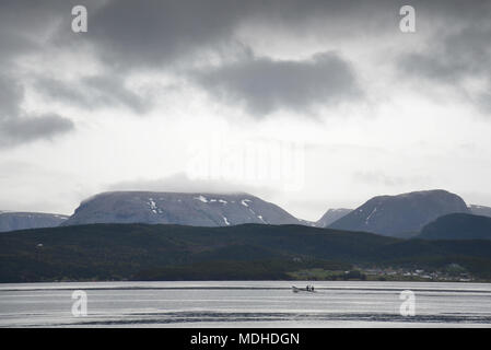 Bonne Bay nel Parco Nazionale Gros Morne Foto Stock