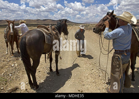 I cowboys tenetevi pronti per un round-up giorno su un West Texas ranch Foto Stock