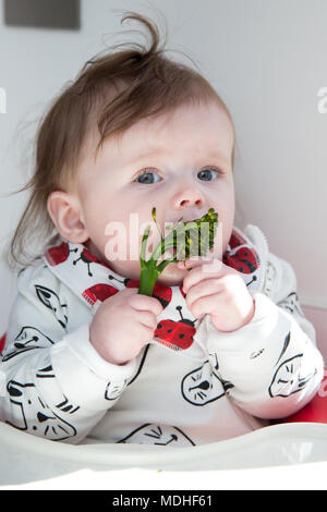 Il led del bambino allo svezzamento Foto Stock