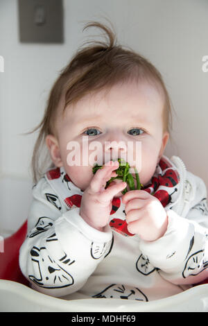 Il led del bambino allo svezzamento Foto Stock