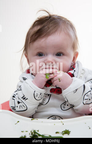 6 mese bambino bambina bambino ha portato svezzamento Foto Stock