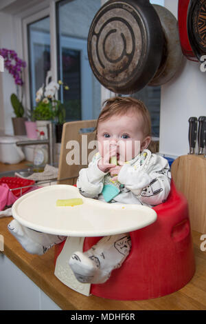 6 mese bambino bambina bambino ha portato svezzamento Foto Stock