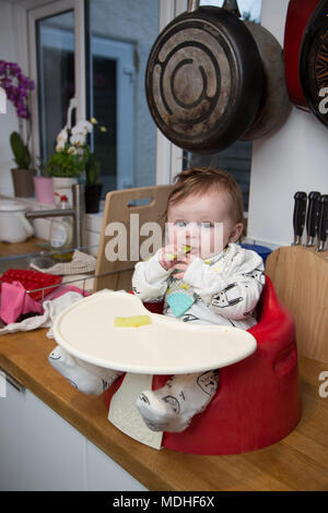 Il led del bambino allo svezzamento Foto Stock
