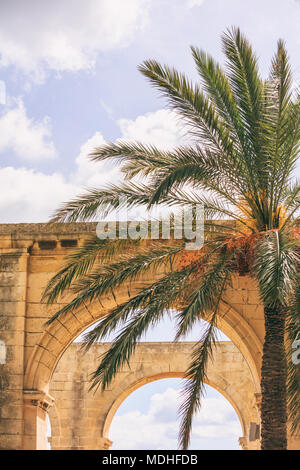 La Valletta, Malta, Upper Barrakka Gardens. Archi in pietra e un albero di palma, nuvoloso cielo blu sullo sfondo Foto Stock