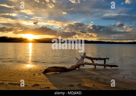 Un registro driftwood giacente su una spiaggia al tramonto Foto Stock