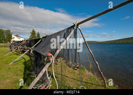 Rete da pesca l'asciugatura vicino fiume Torne, Jukkasjarvi, Norrbotten County, Svezia Foto Stock