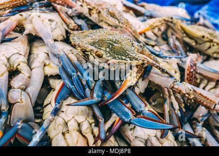 Vendendo granchi freschi nel mercato locale del pesce in Muscat Oman Foto Stock