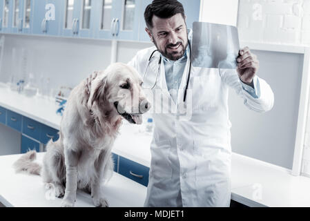 Positivo medico di Nizza mettendo una diagnosi Foto Stock