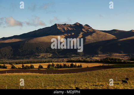 Vulcano Pasochoa a sunrise, Ande, Ecuador Foto Stock