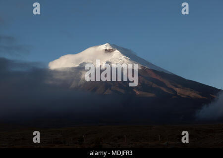 Cotopaxi, un vulcano attivo, all'alba, Andes Ecuador Foto Stock