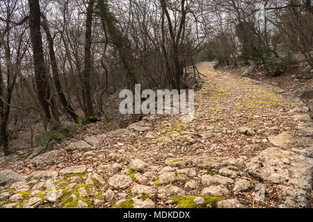 Vecchia strada romana nei pressi di Beli sull isola di Cres (Croazia) in primavera Foto Stock