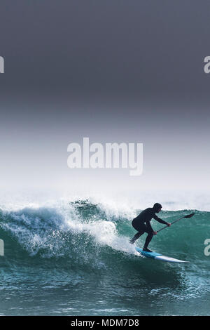 Una racchetta boarder visto in silhouette a Fistral in Newquay Cornwall. Foto Stock