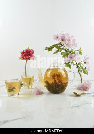 Orario estivo fioritura tea su bianco Foto Stock