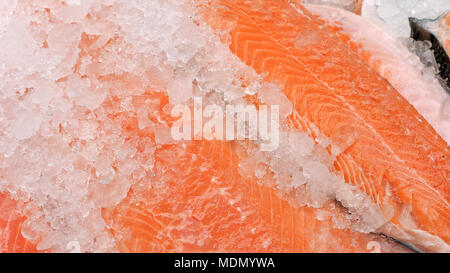 Filetti di salmone fresco e ghiaccio tritato in un mercato locale. Foto Stock