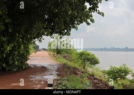 Bodhi tree, strada fangosa lungo il fiume Mekong vicino al Wat Sibounheuang, Vientiane, Laos, 2016. (Thailandia sul fiume) Foto Stock