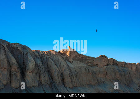 Eagle in volo su rocce Foto Stock