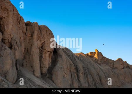 Eagle in volo su rocce Foto Stock