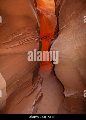 Un peek boo canyon slot a secco forcella, un ramo di Coyote Gulch, il foro nella roccia Road, Scalone Escalante National Monument, Utah, Stati Uniti d'America Foto Stock