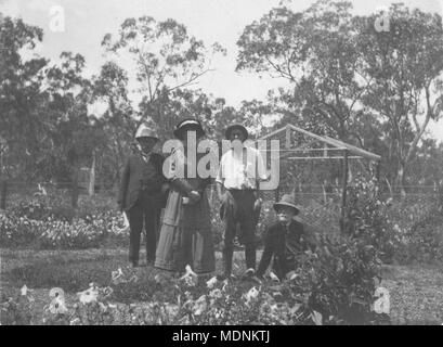 Queensland Ficodindia schede stazione di ricerca Dulacca ca 1913 Foto Stock