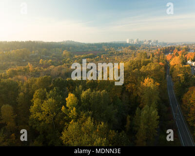 Downtown Bellevue, WA da sopra Mercer Slough Nature Park. Foto Stock