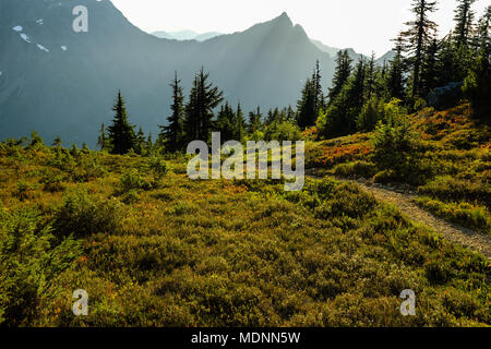 Mt. Dickerman trail a Washington North Cascade Mountains. Foto Stock