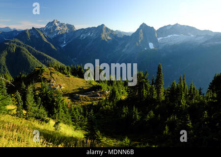 Mt. Dickerman trail a Washington North Cascade Mountains. Foto Stock