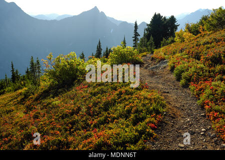 Mt. Dickerman trail a Washington North Cascade Mountains. Foto Stock