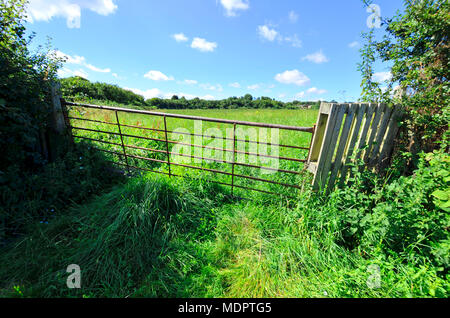 San Donato Monchelsea village, Kent, Inghilterra. Porta di metallo in un campo Foto Stock