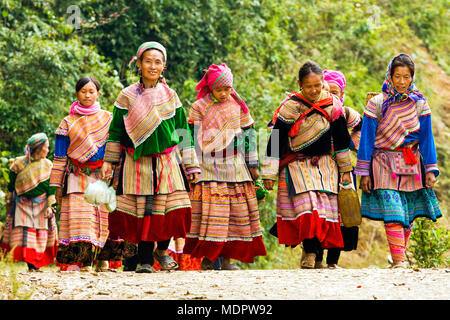 Nr. Bac Ha, Vietnam; fiore donne Hmong tornando da polmone Phin mercato, Ta Chai village. Foto Stock