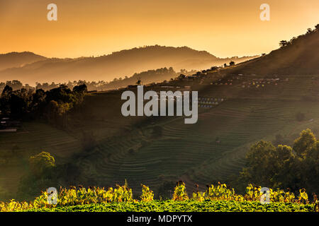 Mae Chaem Royal Progetto, Chiang Mai Foto Stock