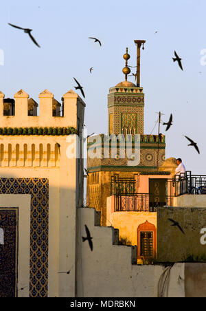 Fes, Marocco; rondini sono ' appollaiati al tramonto intorno al Bab Boujeloud (Porte Bleu) Foto Stock