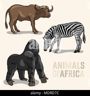 Set di vettore di Animali africani. Gorilla, Buffalo e zebra Illustrazione Vettoriale