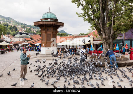 Sarajevo, Bosnia Erzegovina, 16 Luglio 2017: uomo alimenta i piccioni nella parte anteriore del Sebilj fontana nel centro storico della città Foto Stock