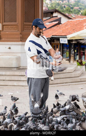 Sarajevo, Bosnia Erzegovina, 16 Luglio 2017: uomo alimenta i piccioni nella parte anteriore del Sebilj fontana nel centro storico della città Foto Stock