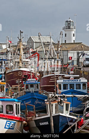 Una selezione di Scarborough della flotta da pesca in Scarborough Harbour, legato a fianco del porto pesce della zona di lavorazione sul Molo Ovest. Foto Stock