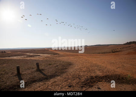 20th Annual Randy Oler Memorial Operation Toy Drop è un'esercitazione aerea multinazionale ospitata dall'US Army Civil Affairs & Psychological Operations Command (Airborne) il 1° dicembre 2017, presso Sicily Drop zone, Fort Bragg, Carolina del Nord. L'immagine d'archivio registra i paracadutisti dell'esercito americano e i jumpmaster della nazione partner che scendono durante l'evento, riconosciuta come la più grande operazione aerea combinata. La stampa fotografica storica documenta la partecipazione di otto paesi alleati. Foto Stock