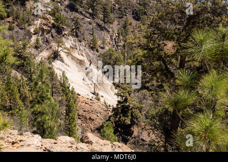 La pomice formazioni di roccia vulcanica scolpita e erose dal vento e acqua nel paesaggio lunare, Paisaje Lunar, parco naturale area in Vilaflor, Tenerife, Foto Stock