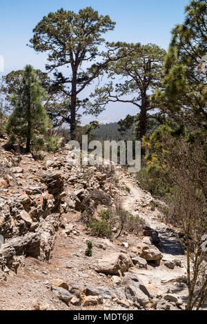 La pomice formazioni di roccia vulcanica scolpita e erose dal vento e acqua nel paesaggio lunare, Paisaje Lunar, parco naturale area in Vilaflor, Tenerife, Foto Stock