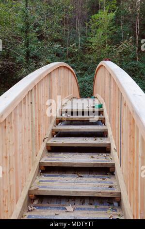 23 in una serie di 32, la costruzione di una passerella di legno, le fasi completate, deck e corrimano. Foto Stock