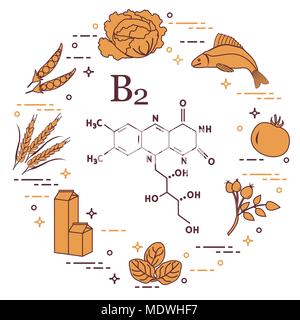 Gli alimenti ricchi di vitamina B2. Cavolo, pesce, pomodoro, rosa canina, spinaci, latte, frumento, piselli. Illustrazione Vettoriale