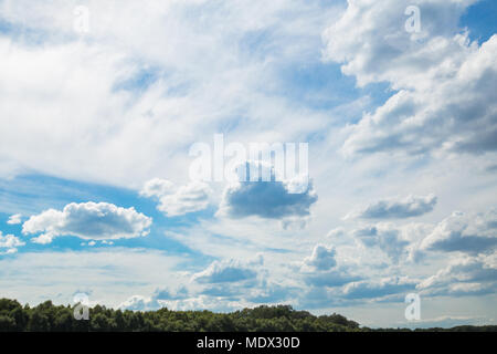 Bella colorata blu cielo con soffici nuvole e sole brillante luce su vecchi verde foresta. Orizzontale fotografia a colori. Foto Stock