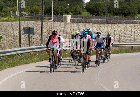 Binissalem, Maiorca Venerdì 20 Aprile 2018. Piloti provenienti da club di Dorking e Redhill Regno Unito sono unite da vacanza in bicicletta guide. Gruppo sono passando un vigneto come loro approccio alla città. Immagine: Pietro Titmuss/ Alamy Live News Foto Stock