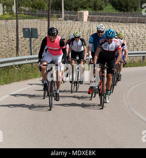 Binissalem, Maiorca Venerdì 20 Aprile 2018. Piloti provenienti da club di Dorking e Redhill Regno Unito sono unite da vacanza in bicicletta guide. Gruppo sono passando un vigneto come loro approccio alla città. Immagine: Pietro Titmuss/ Alamy Live News Foto Stock