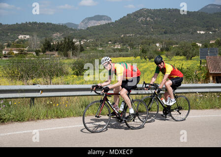 Binissalem, Maiorca Venerdì 20 Aprile 2018. Piloti provenienti da Redhill Ciclismo Club. Surrey UK passando campagna di Maiorca a Binissalem. Immagine: Pietro Titmuss/ Alamy Live News Foto Stock