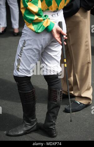 Francia, Ile de France, Val de Marne, Hippodrome de Vincennes, Prix du Président de la République, Camille Levesque, montato trottare, Foto Stock