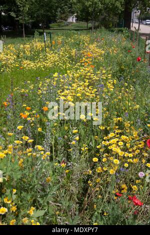 Parigi, Avenue Foch, giardini su Avenue Foch, Foto Stock